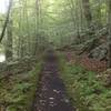 The old railroad bed on the Charles Bailey Trail.