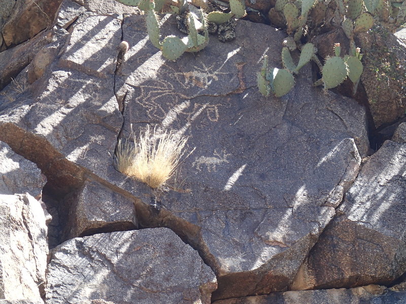 Petroglyphs can be found on the rocks along the trail.