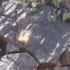 Petroglyphs can be found on the rocks along the trail.