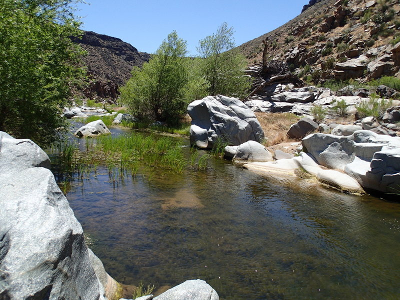 Badger Spring provides a pleasant riparian environment complete with decent shade.