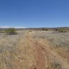 The trail to the ruins offers great views along the way.