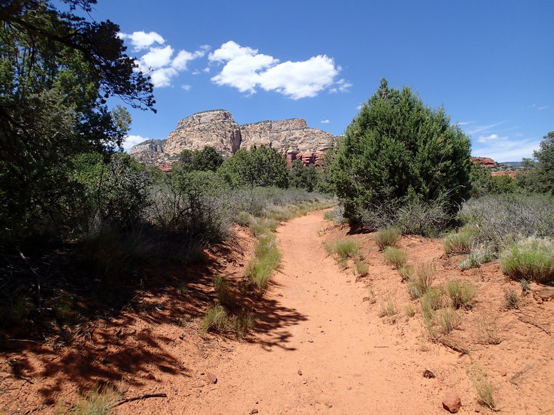 Long Canyon Trail traverses a beautiful tread, allowing you to focus more on the views and less on your feet.