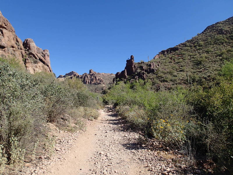 Peralta Canyon Trail offers an awesome backcountry experience amidst the cliffs of the Superstitions.