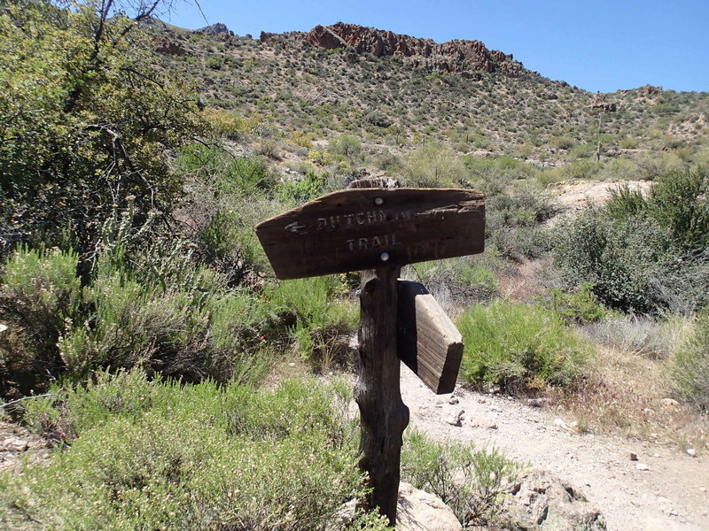 At yet another trail junction, the Dutchman and Peralta Canyon Trails are well marked.