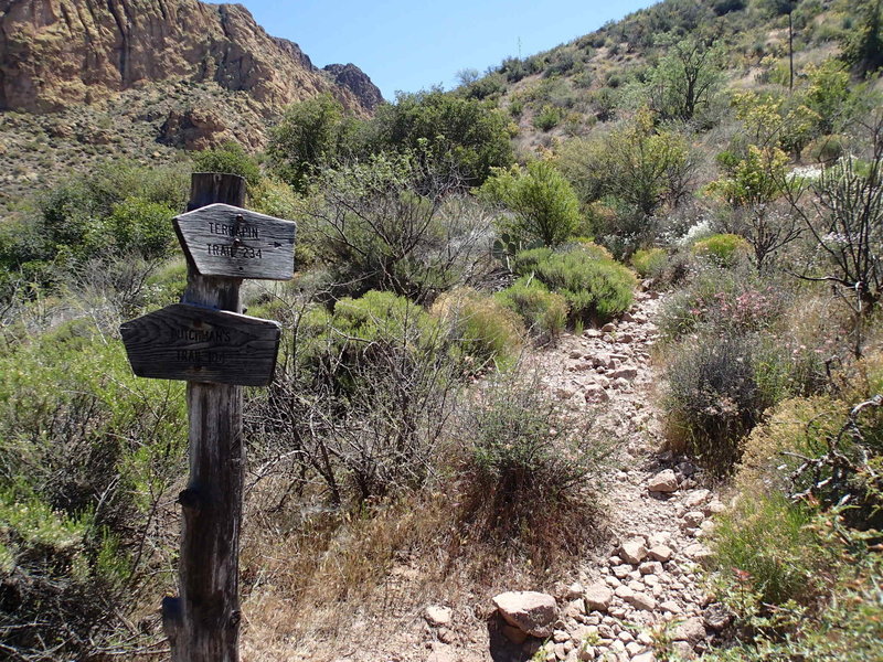 The Dutchmans - Terrapin Trail junction is well signed.