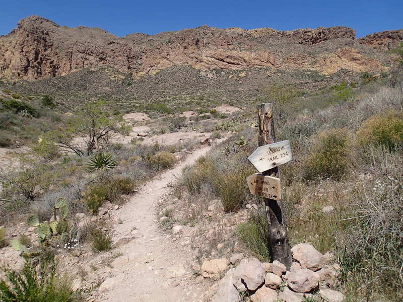 The Terrapin - Bluff Springs Trail junction is well marked by this sign.