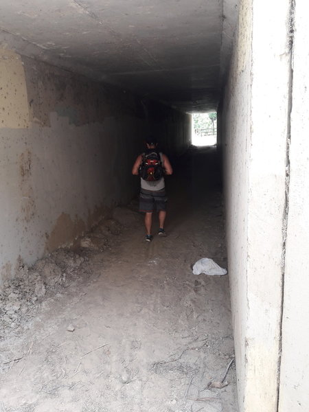 A concrete tunnel takes you underneath Colima Road to rejoin the trail.