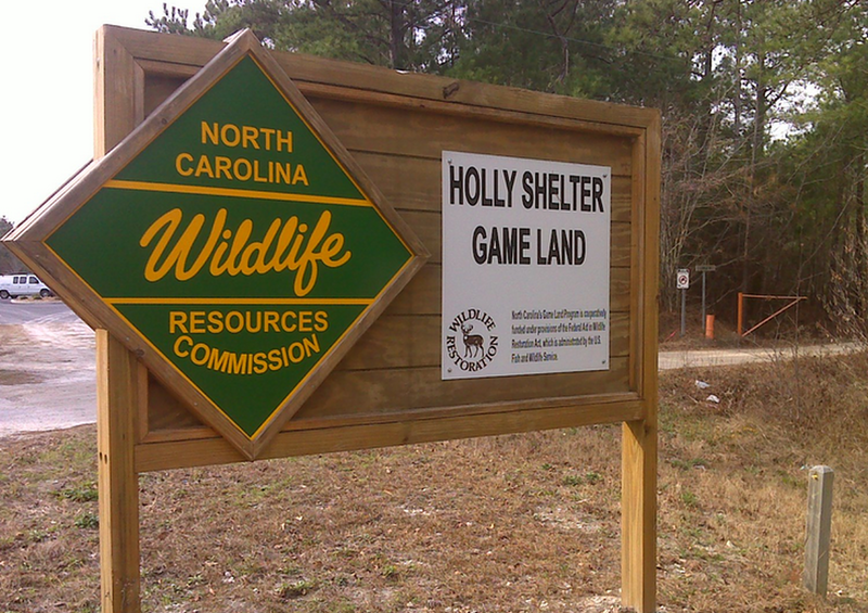 This sign marks the entrance to Holly Shelter at Hwy 17 and Lodge Road.