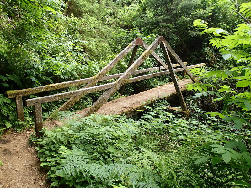 You'll cross this mossy bridge near the end of the trail.