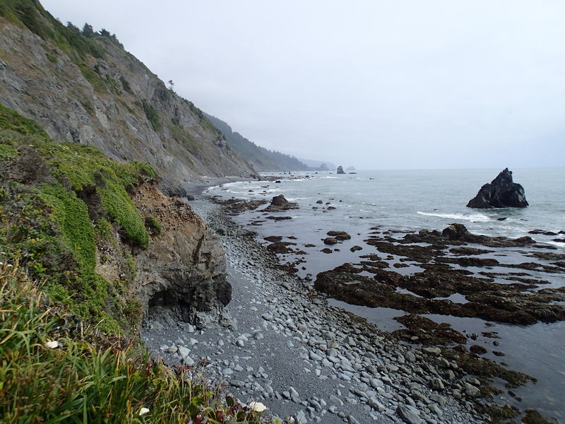 The Damnation Creek Trail ends into these incredible views from the beach.