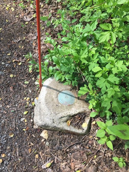 USGS marker for the highest point of the trail.