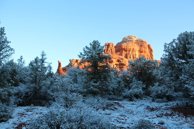 Boynton Spire can be seen departing in the distance from the Boynton Canyon Trail.