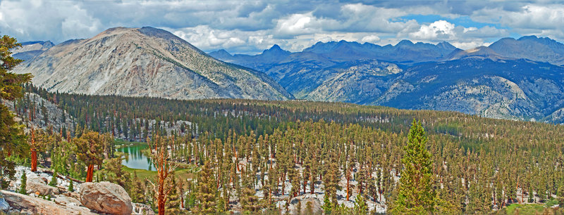 Foxtail pine rise from the granite along Red Spur Lakes Plateau. This view is looking toward Kern Peak, Kern Canyon, and the Sierra Crest.