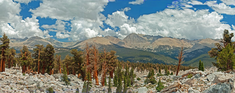 From Red Spur Lakes Plateau, this is looking up Whitney Creek in the right center and Wallace Creek in the left center.
