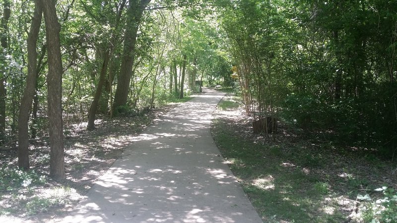 Great canopy cover provides a cool place to escape the Texas sun.