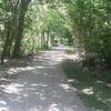 Great canopy cover provides a cool place to escape the Texas sun.