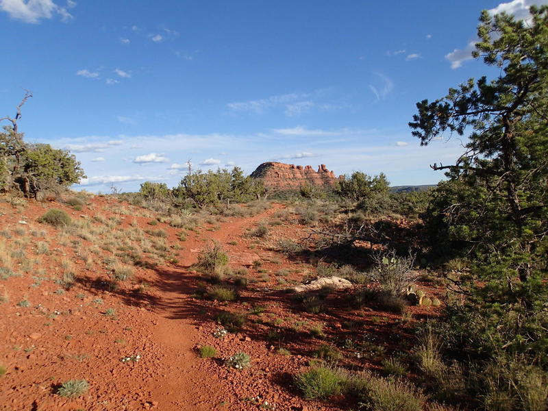 You certainly won't be short on views along the Cockscomb Trail.