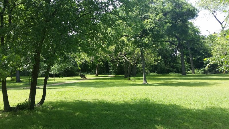 A beautiful grassy area adorns the center of the preserve.