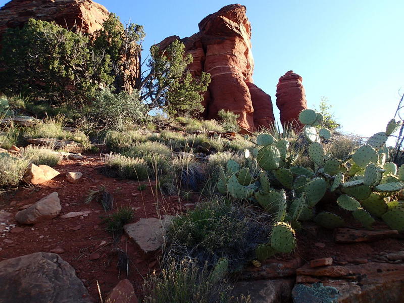 Nearing the top of the Cockscomb, the trail is steep and rife with cacti.