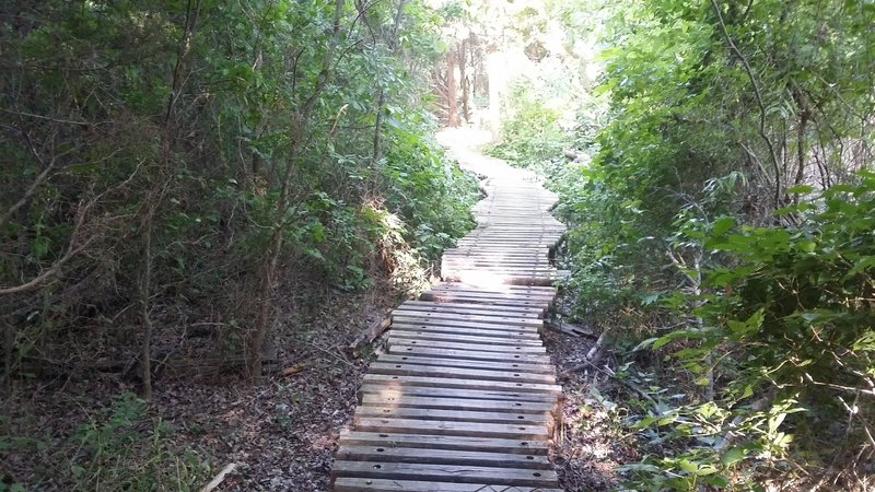 Raised boardwalks keep boots dry as you travel through wet areas of the park.