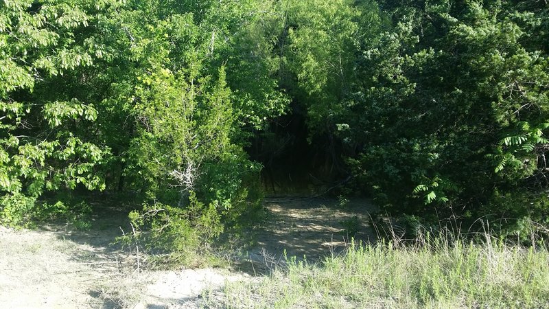 The trail often travels from sunny meadows into heavy tree cover.