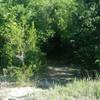 The trail often travels from sunny meadows into heavy tree cover.