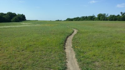 The trail passes through many large fields that, with the right timing, offer a wondrous rainbow of wildflowers.