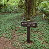 The start of the trail is marked by this sign.