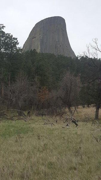 A view of Devils Tower, April 4, 2017.