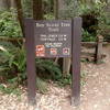 The Boy Scout Tree Trailhead is marked by this sign.