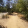 This is a small dirt trail off to the right of the wide gravel/dirt Ahwingna Trail. The wide trail is sun exposed, while the adjacent dirt trail leads into the brush and is mostly shady.