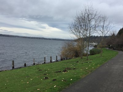 Looking north, you can see Mercer Island and Seattle from the trail.