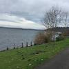 Looking north, you can see Mercer Island and Seattle from the trail.