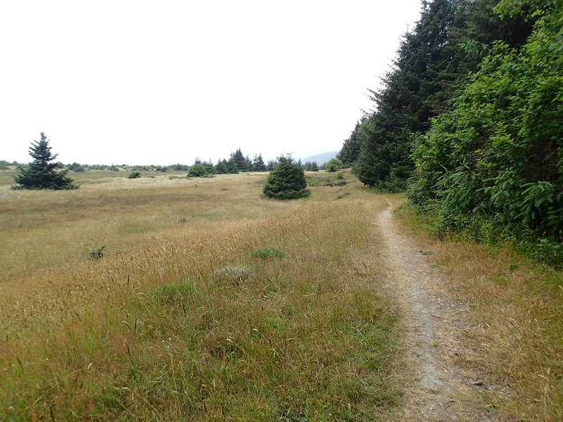 The Coastal Trail is the backbone of California Coast recreation.