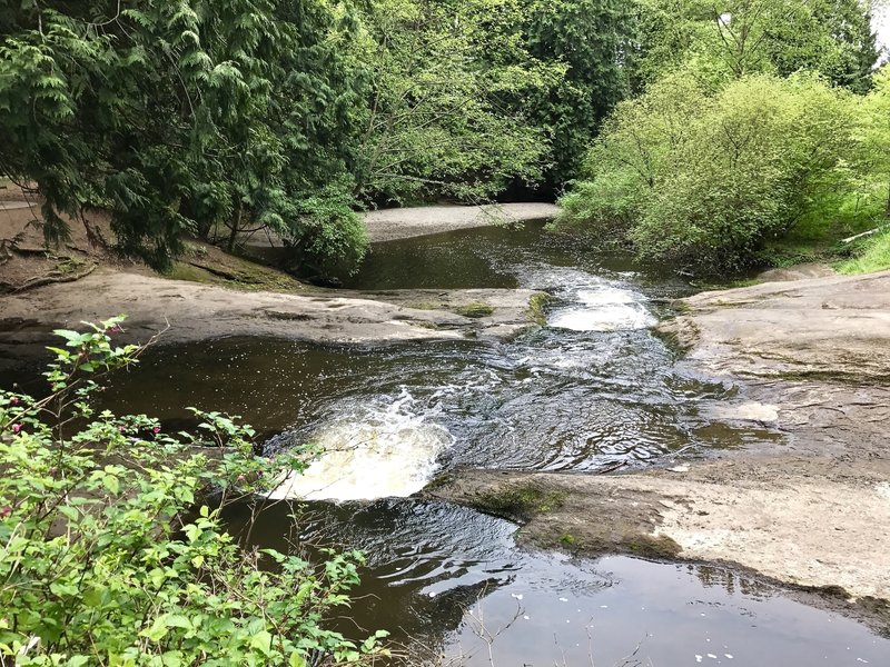 Enjoy the pleasant babble of Squalicum Creek as you venture across the trail.