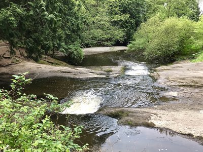 Enjoy the pleasant babble of Squalicum Creek as you venture across the trail.