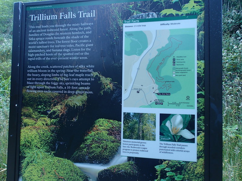 Ample trailhead signage gives you an idea of what to expect before you set foot in the forest.