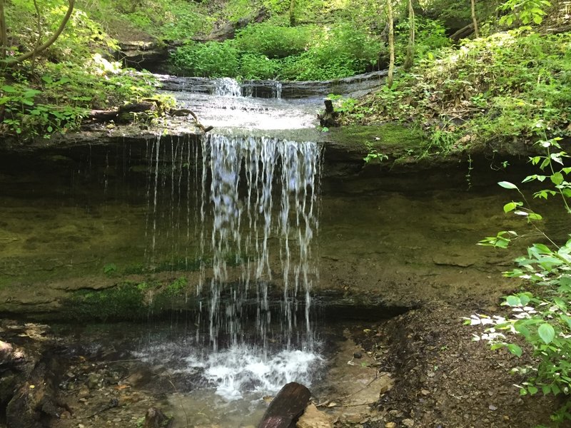 Dripping Springs Falls.