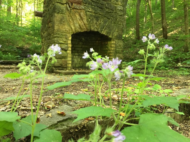 Red chimney with wildflowers along the trail.