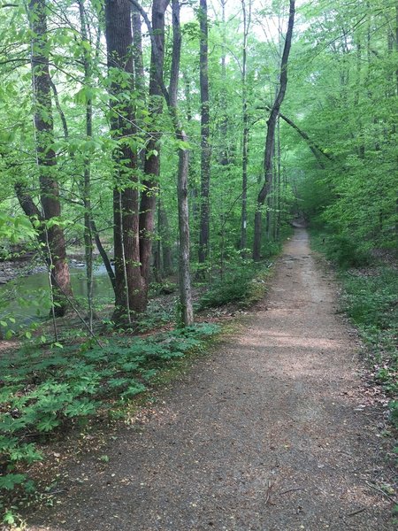 An old road that is now a great trail.