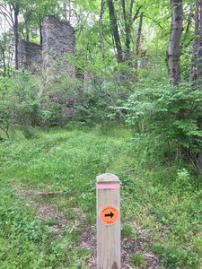 1800's ruins on the trail.