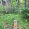 1800's ruins on the trail.