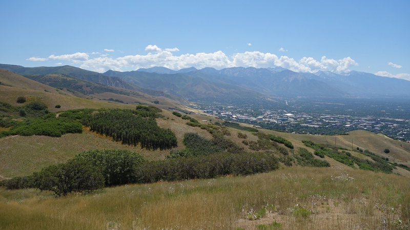 Bonneville Shoreline Trail area with the University of Utah in the distance.