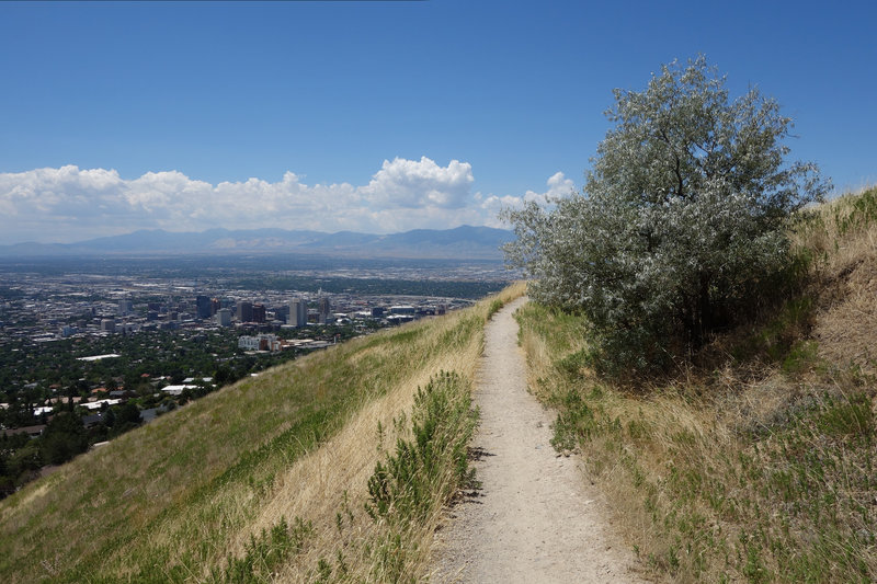 Downtown Salt Lake City seen from the Bonneville Shoreline Trail.