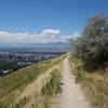 Downtown Salt Lake City seen from the Bonneville Shoreline Trail.