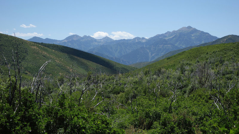 Mountains and the valley to the south of Cascade Springs.