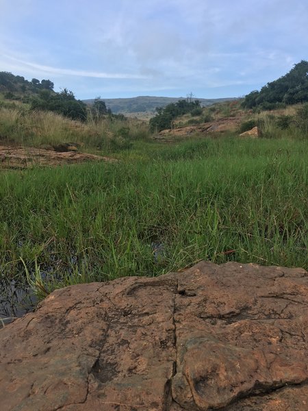 Views from the Suikerbosrand Trail.