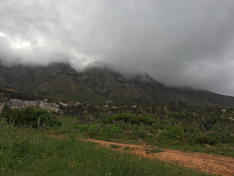 Chapmans Peak in the clouds.