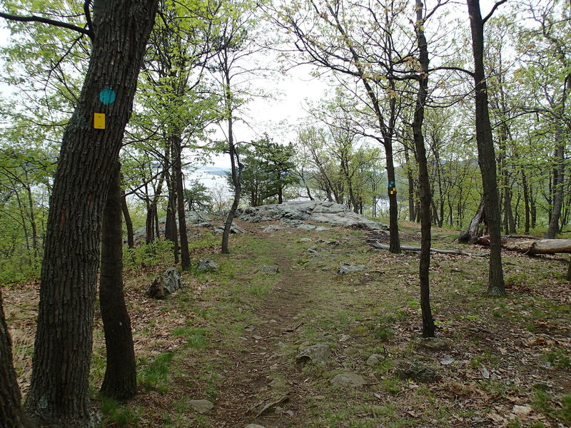 View on the lower Stillman Trail.