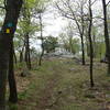 View on the lower Stillman Trail.